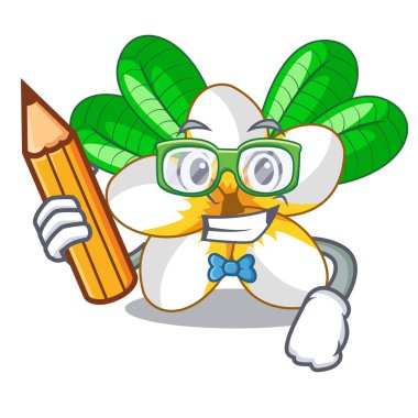 Öğrenci frangipani çiçek chracter tencerede illüstrasyon vektör