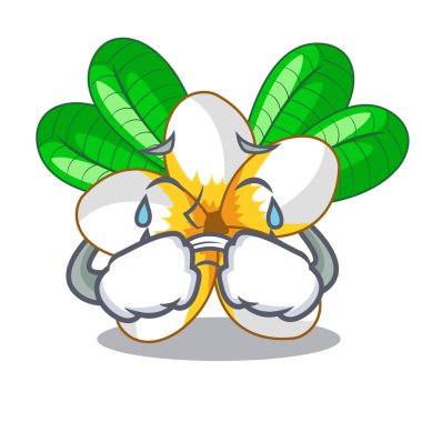 Çizgi film ağaç vektör çizim çiçek Frangipani ağlıyor