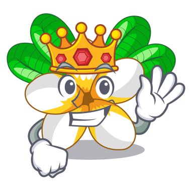 Maskot vektör illüstrasyon izole kral çiçek frangipani