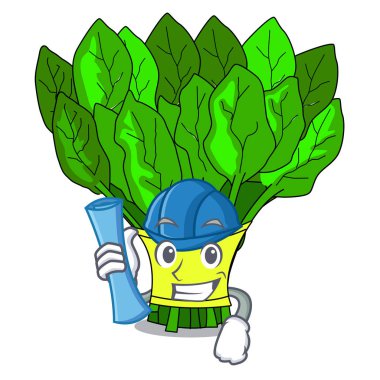 Bir çizgi film plaka vektör çizim üzerinde sebze ıspanak mimar