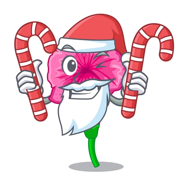 Santa Avec Pétunia Bonbons Dans Une Illustration Vectorielle Panier Fleurs — Image vectorielle