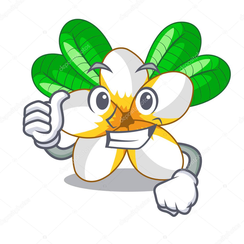 Thumbs up frangipani flowers in the chracter pot vector illustration