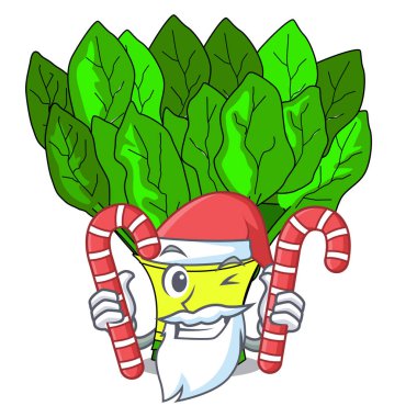 Santa maskot vektör illüstrasyon izole şeker sebze ıspanak ile