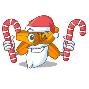 Santa maskot vektör illüstrasyon izole şeker tiger lily çiçek