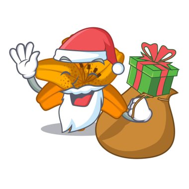 Noel Baba hediye tiger lily çiçek maskot vektör illüstrasyon izole