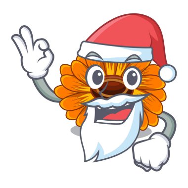 Santa calendul çiçek ağacıdır karakter şekli vektör çizim