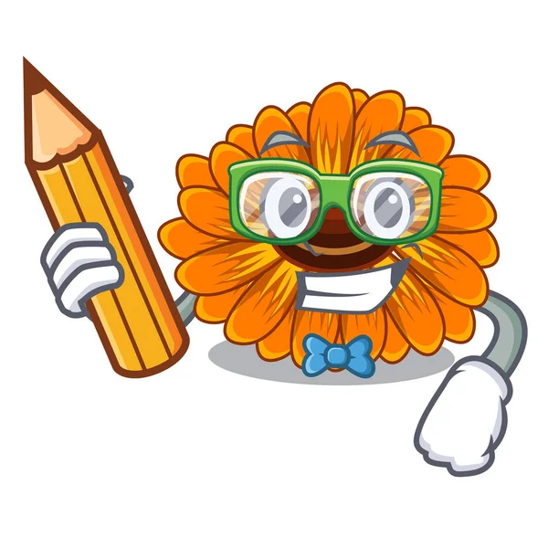 Öğrenci calendula karikatür sepet vektör çizim çiçek