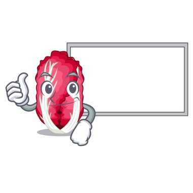 Başparmak yukarıya ile Yönetim Kurulu radiccho maskotu vektör çizim şeklinde