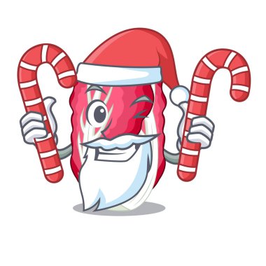 Santa ile şeker sebze radicchio ile çizgi film vektör illüstrasyon izole