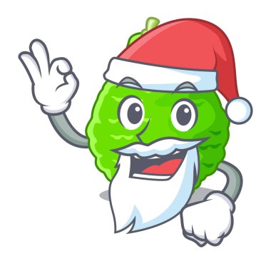 Santa kireç Güney Afrika'da bir kabile karikatürler vektör çizim ile izole