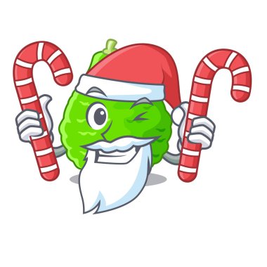 Santa şeker kireç Güney Afrika'da bir kabile ile çizgi film vektör çizim ile izole