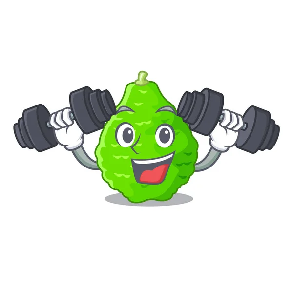 Fitness Kaffir Cesta Cal Mascota Vegetal Vector Ilustración — Archivo Imágenes Vectoriales