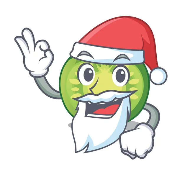 Plastry zielonego pomidora Santa na białym tle z maskotką — Wektor stockowy