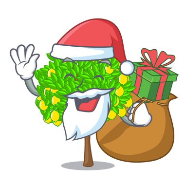 Noel Baba hediye limon ağacı pot karakter