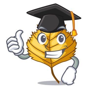 Mezuniyet huş ağacı yaprak karakter izole