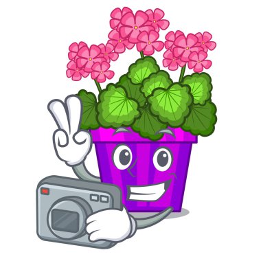 Çizgi film tencerede fotoğrafçı Sardunya çiçekleri