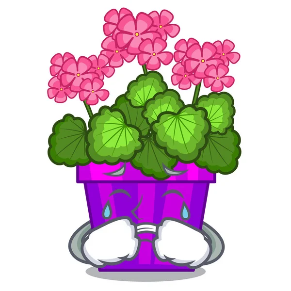 Crying geranium flowers in the cartoon pot — Stock Vector