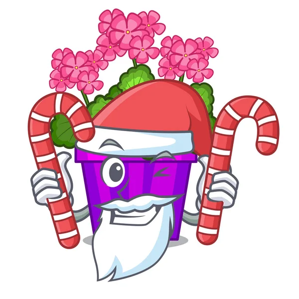 Santa karikatür şeklinde şeker Sardunya çiçekli