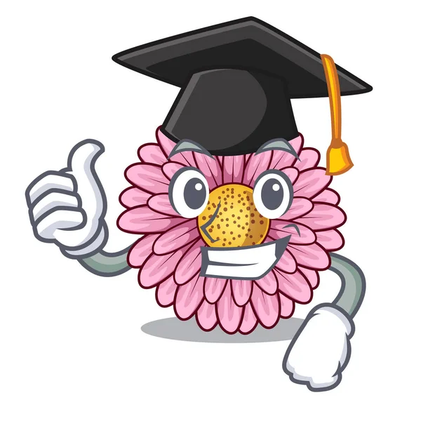 Mezuniyet gerbera çiçek maskot kök sopa