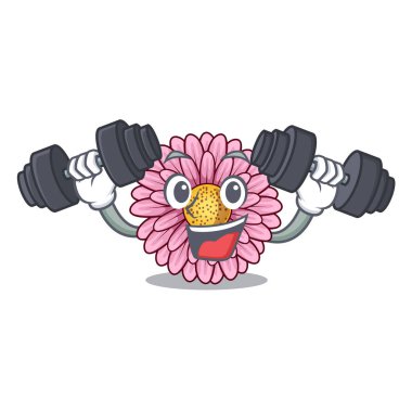 Fitness gerbera saksıyı karakter tablosunun üst kısmındaki