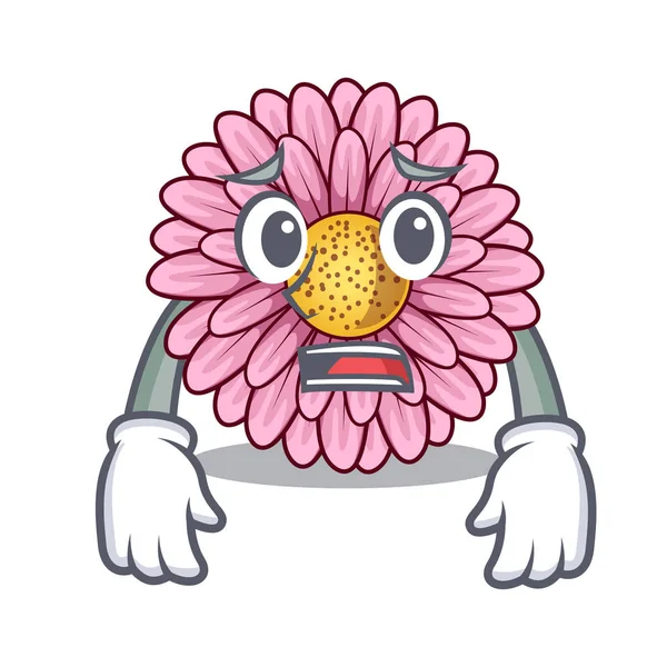 Paura gerbera fiore isolato nel cartone animato — Vettoriale Stock