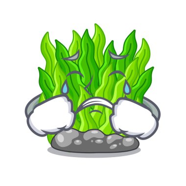 Maskot tablosunun üst kısmındaki minyatür yeşil yosun ağlıyor