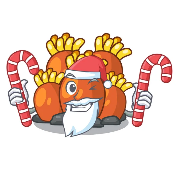 Père Noël avec bonbons miniature récif de corail orange dans le caractère — Image vectorielle