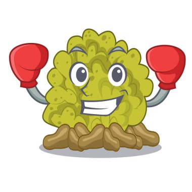 Karakter şeklinde boks yeşil mercan resifi