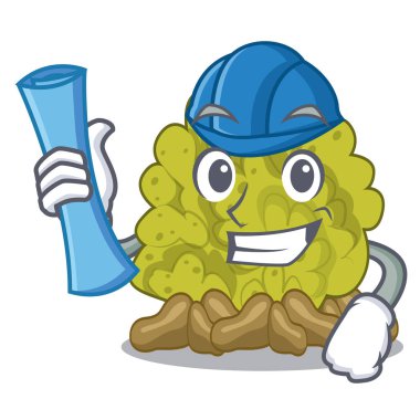 Maskot ile Mimar minyatür yeşil mercan resifi