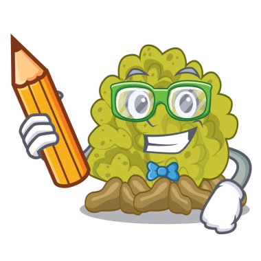 Maskot ile öğrenci minyatür yeşil mercan resifi