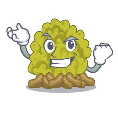 Maskot ile başarılı minyatür yeşil mercan resifi