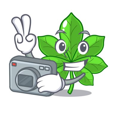 Maskot kök fotoğrafçı at kestane