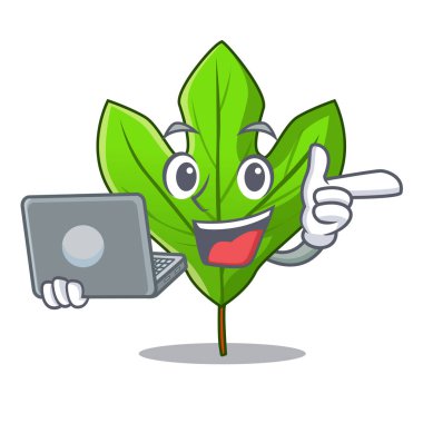 Dizüstü Sassafras yaprak karakterinde izole ile