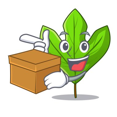 Karikatür kökü kutusu Sassafras yaprak ile