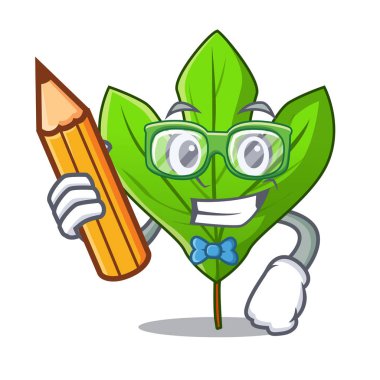Karikatür kök öğrenci Sassafras yaprak