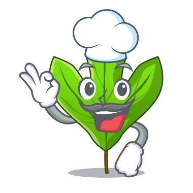 Karikatür kök Şef Sassafras yaprak