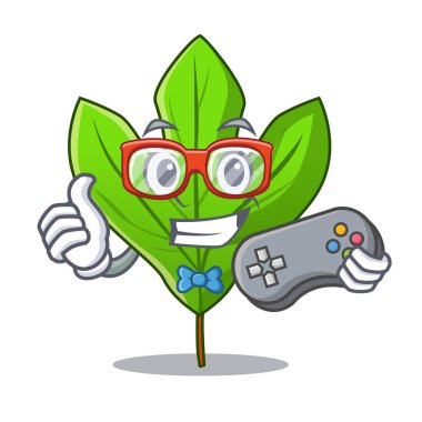 Maskot tencere oyun Sassafras yaprak