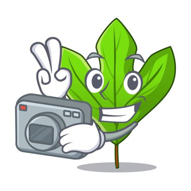 Maskot tencere fotoğrafçı Sassafras yaprak