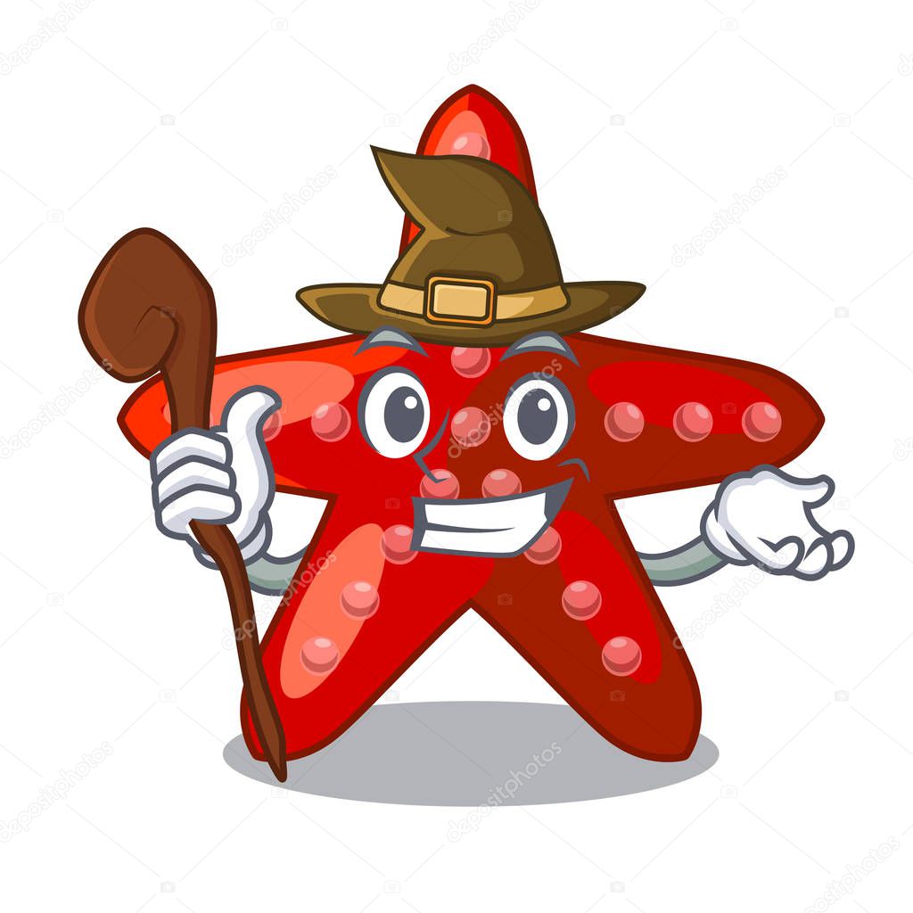 Witch red starfish in the cartoon shape