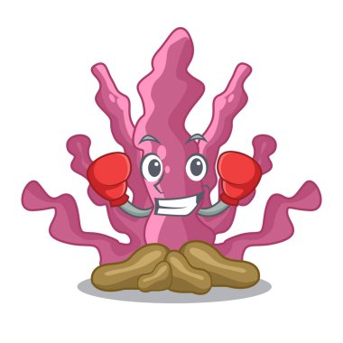 Karakter şeklinde pembe deniz yosunu boks