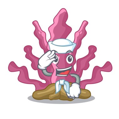 Denizci pembe yosun karakter şekli