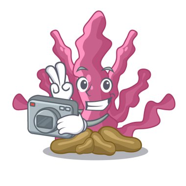 Karikatür izole fotoğrafçı pembe deniz yosunu