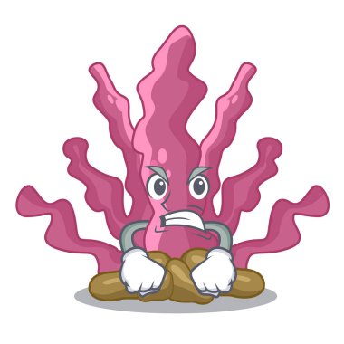 Karikatür izole kızgın pembe deniz yosunu
