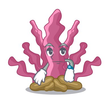Maskot akvaryum pembe deniz yosunu bekliyor