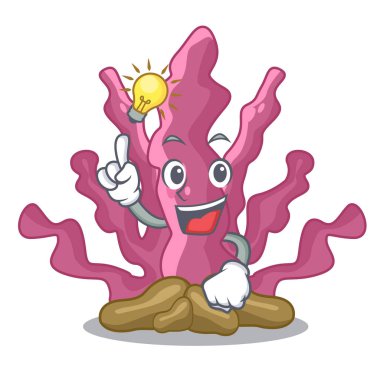 Bir fikir pembe yosun maskot akvaryumda var