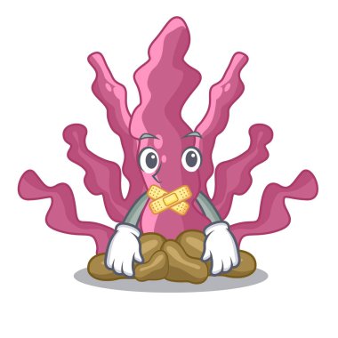 Sessiz pembe deniz yosunu maskot akvaryum