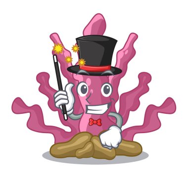 Sihirbaz pembe yosun maskot akvaryum
