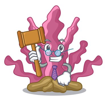 Yargıç pembe yosun maskot akvaryum