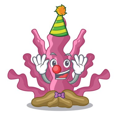 Palyaço pembe yosun maskot akvaryum