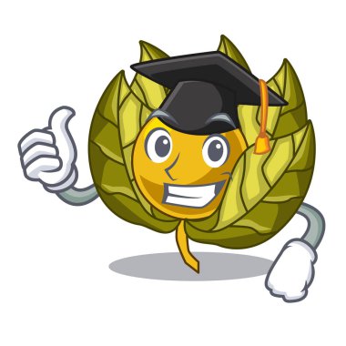 Mezuniyet physalis meyve maskot buzdolabı